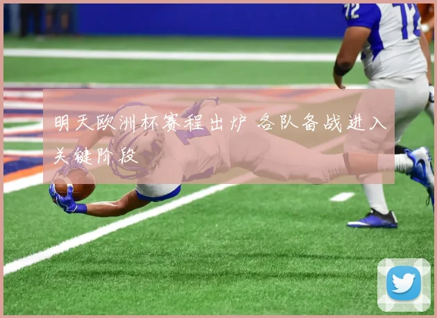 明天欧洲杯赛程出炉 各队备战进入关键阶段