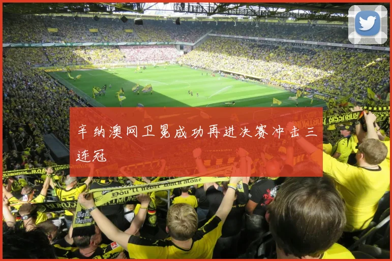 辛纳澳网卫冕成功再进决赛冲击三连冠