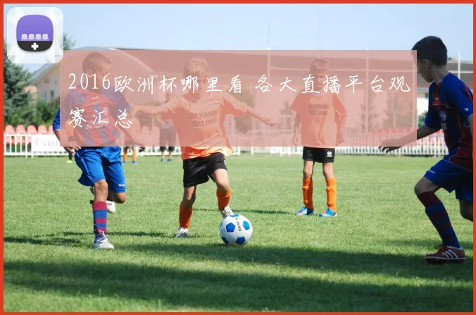 2016欧洲杯哪里看 各大直播平台观赛汇总