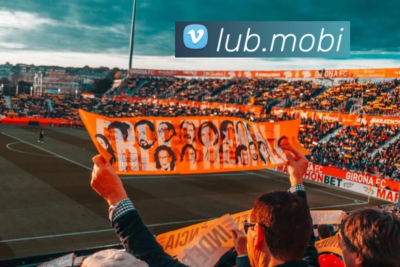 App Interface Preview